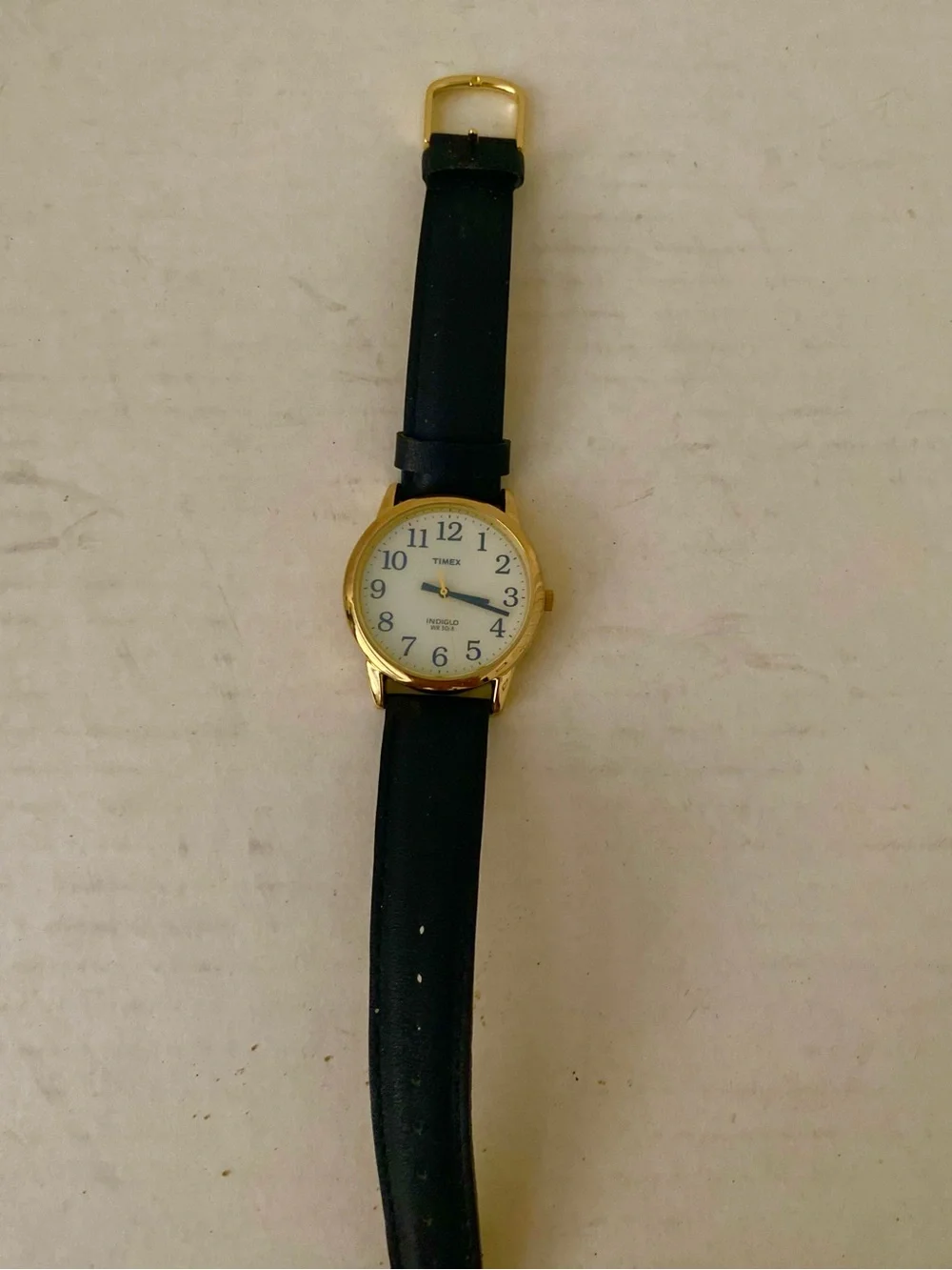 Timex Unisex  Indiglo Easy Reader Gold Case Watch with Black Strap